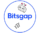 bitsgap-icon-filled-256