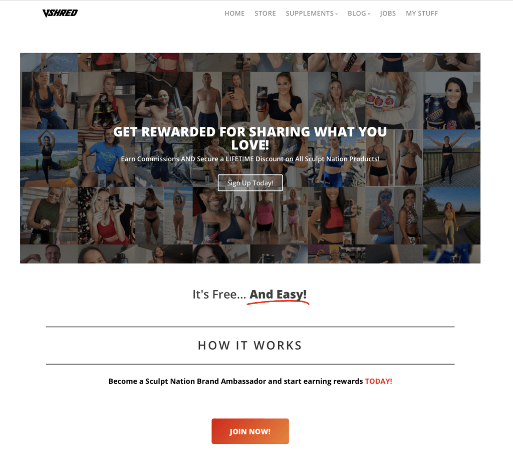 Landing page used by VSHRED to attract content publishers to their affiliate program.