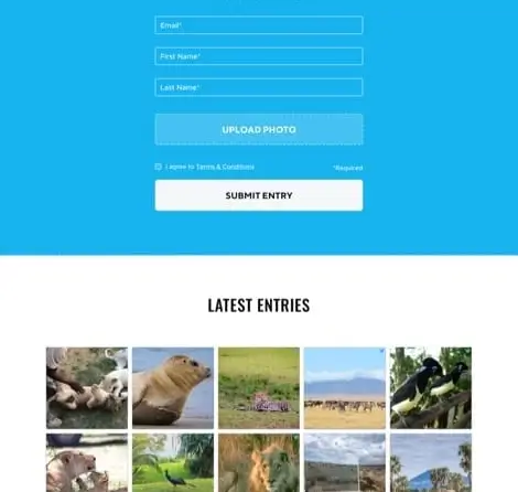 Example of a contest page with UGC content using Tint